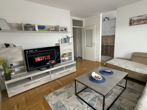 Stan na dan Istočno Sarajevo Lukavica (dvije sobe)