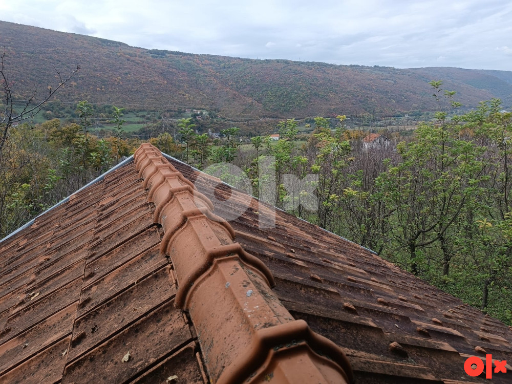 BOČAC - vikendica brvnara + voćnjak 6000 m2
