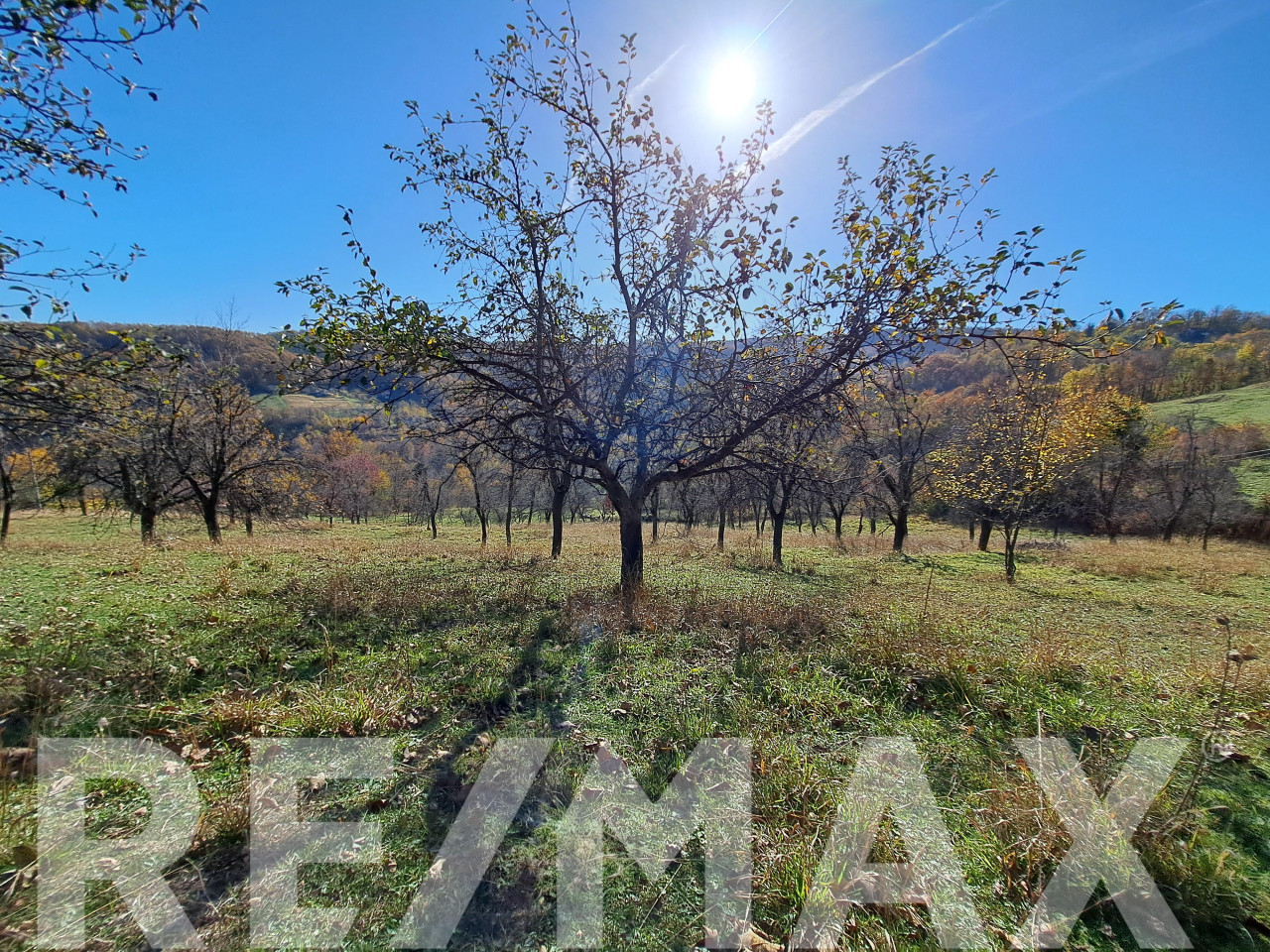 Na prodaju parcela, Starog Vujadina, Starčevica - 6.000m2 2