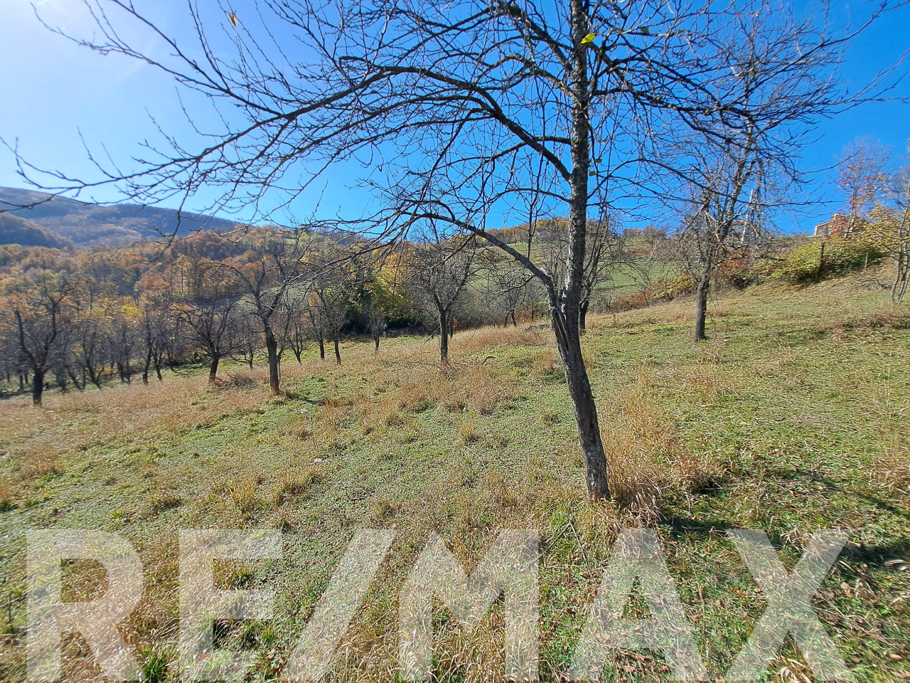 Na prodaju parcela, Starog Vujadina, Starčevica - 6.000m2 3