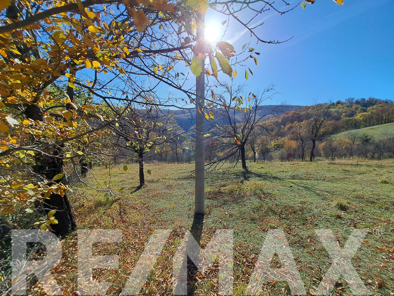 Na prodaju parcela, Starog Vujadina, Starčevica - 6.000m2 4