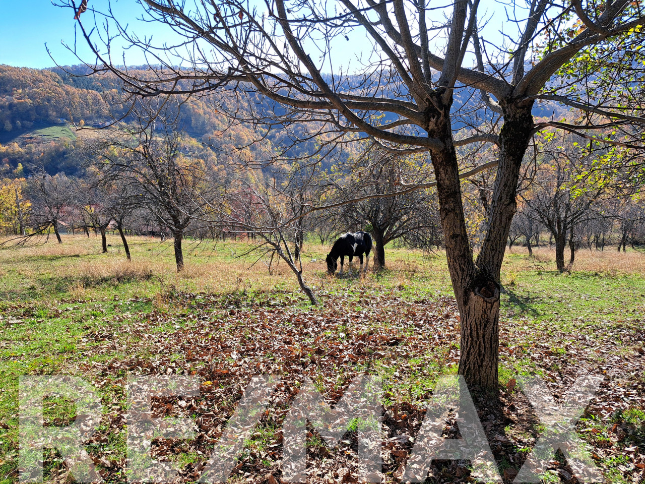 Na prodaju parcela, Starog Vujadina, Starčevica - 6.000m2 5