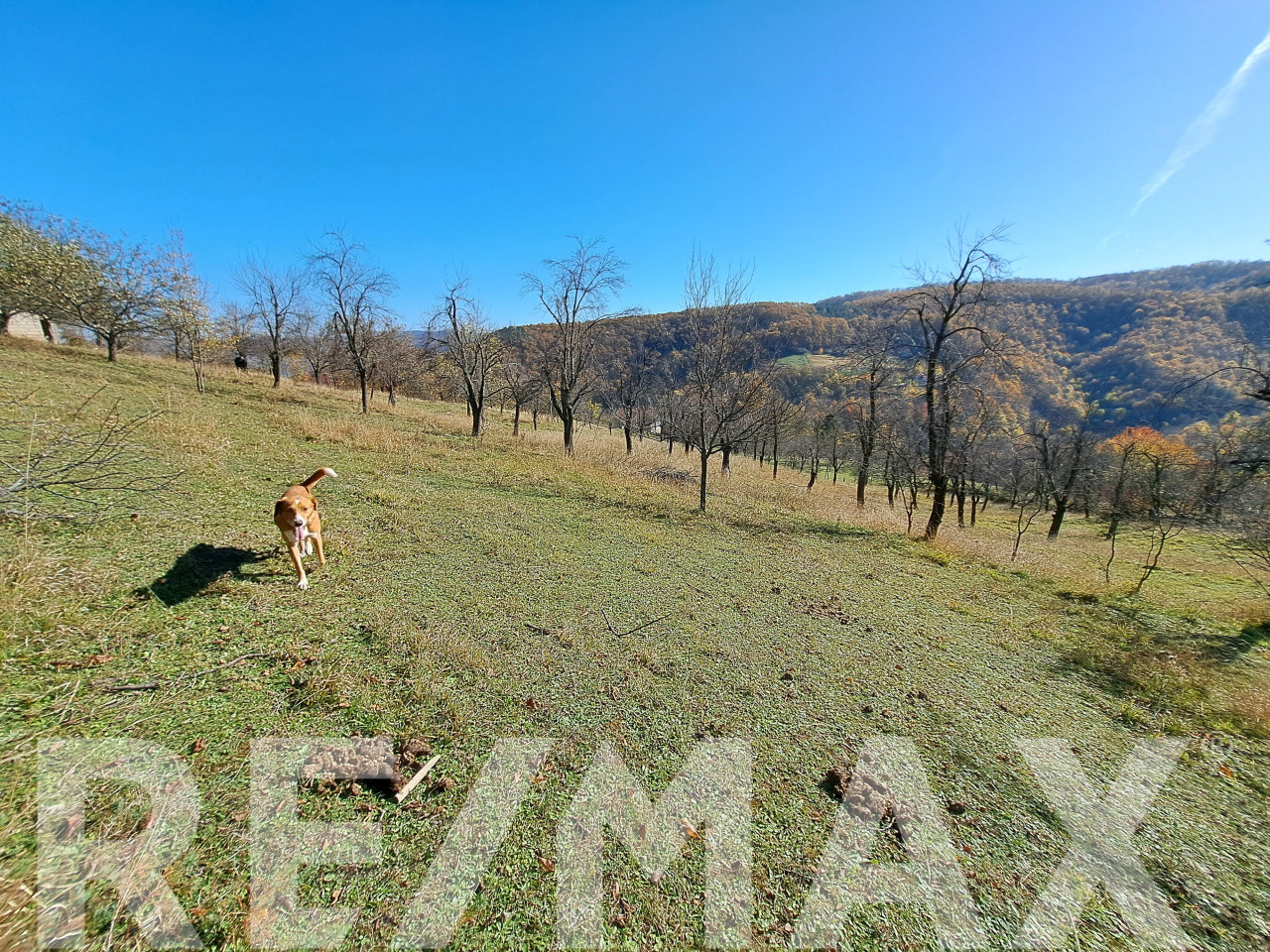 Na prodaju parcela, Starog Vujadina, Starčevica - 6.000m2 6