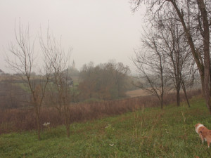 Zemljište 3000m2 Ramići Banja Luka