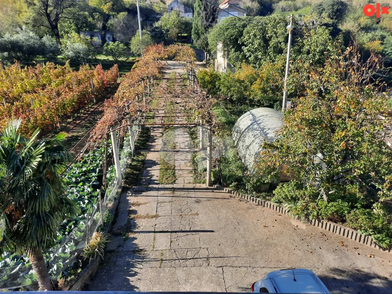 ALMENA/Hodbina, kuća na prodaju 2