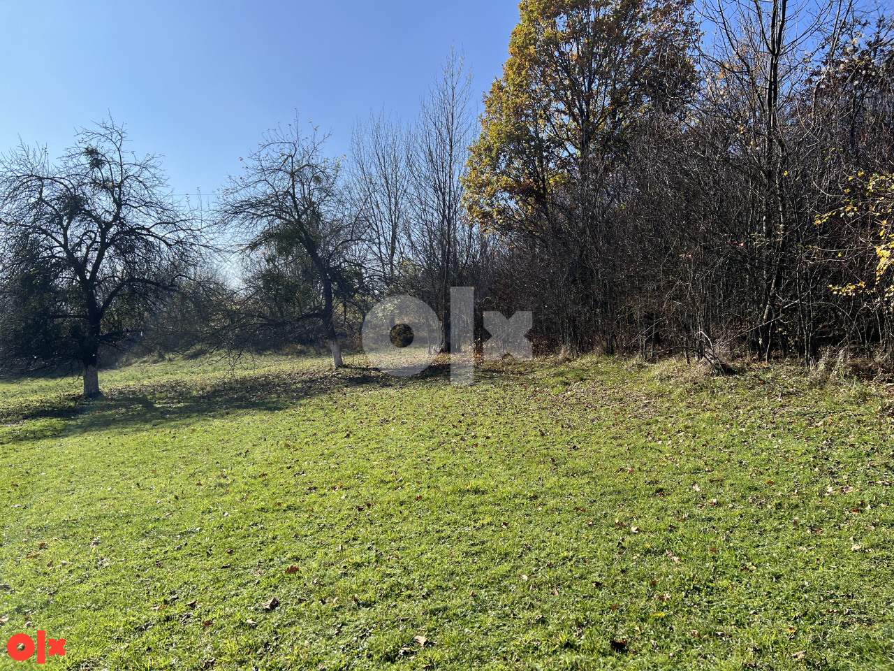 DONJE BIOSKO STARI GRAD 18.000m2 TOP LOKACIJA 2
