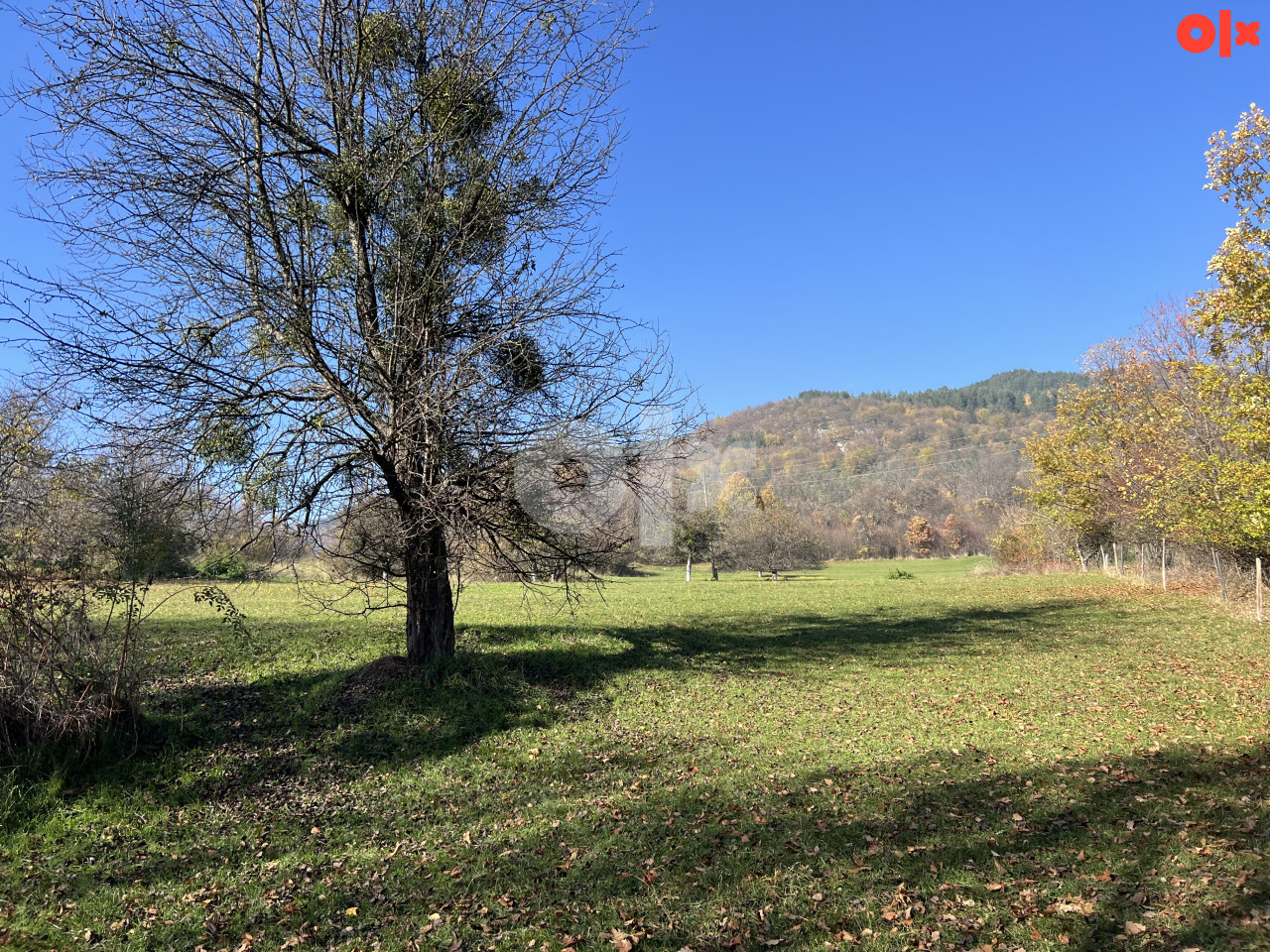 DONJE BIOSKO STARI GRAD 18.000m2 TOP LOKACIJA 6