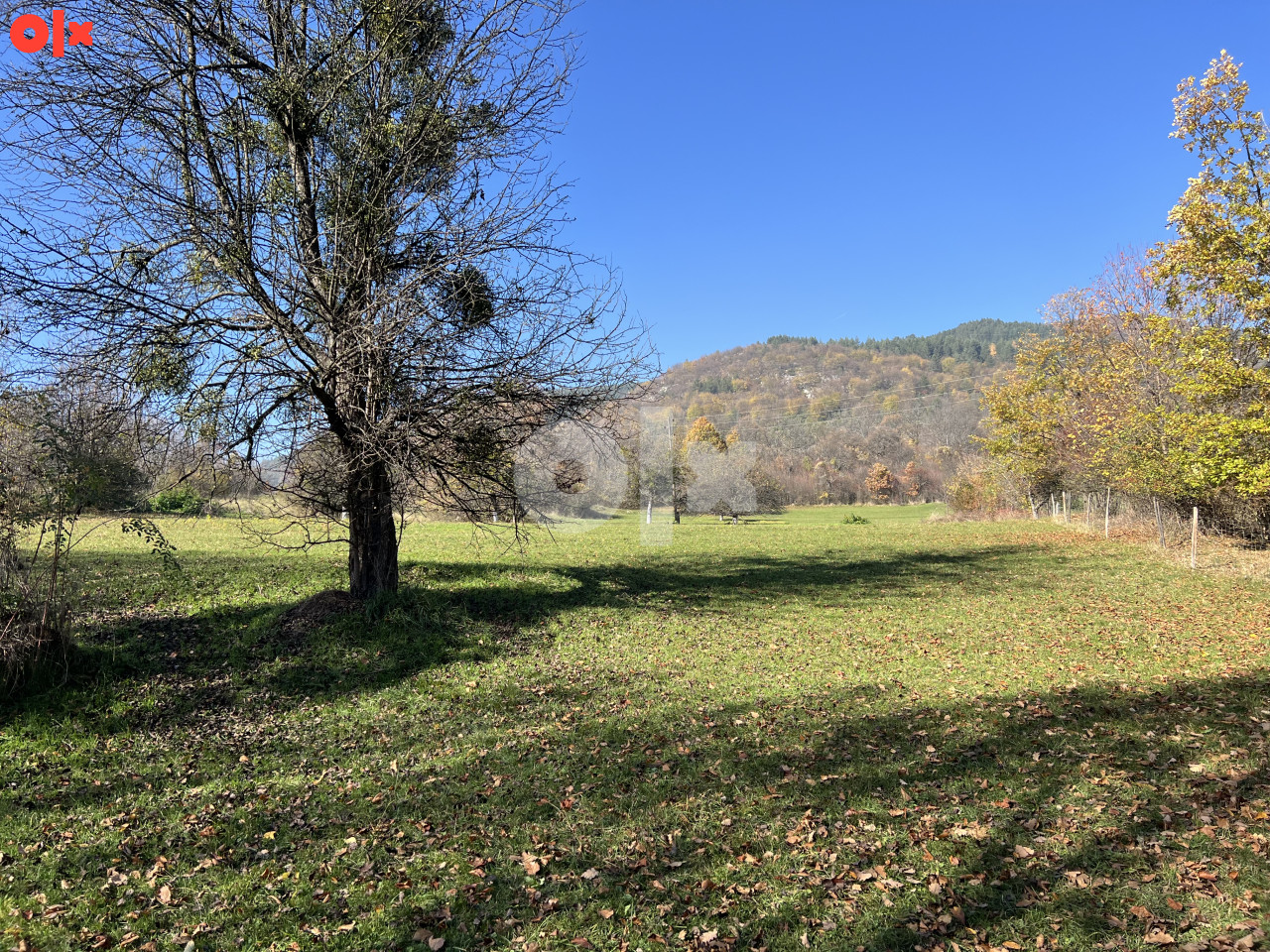 DONJE BIOSKO STARI GRAD 18.000m2 TOP LOKACIJA 10