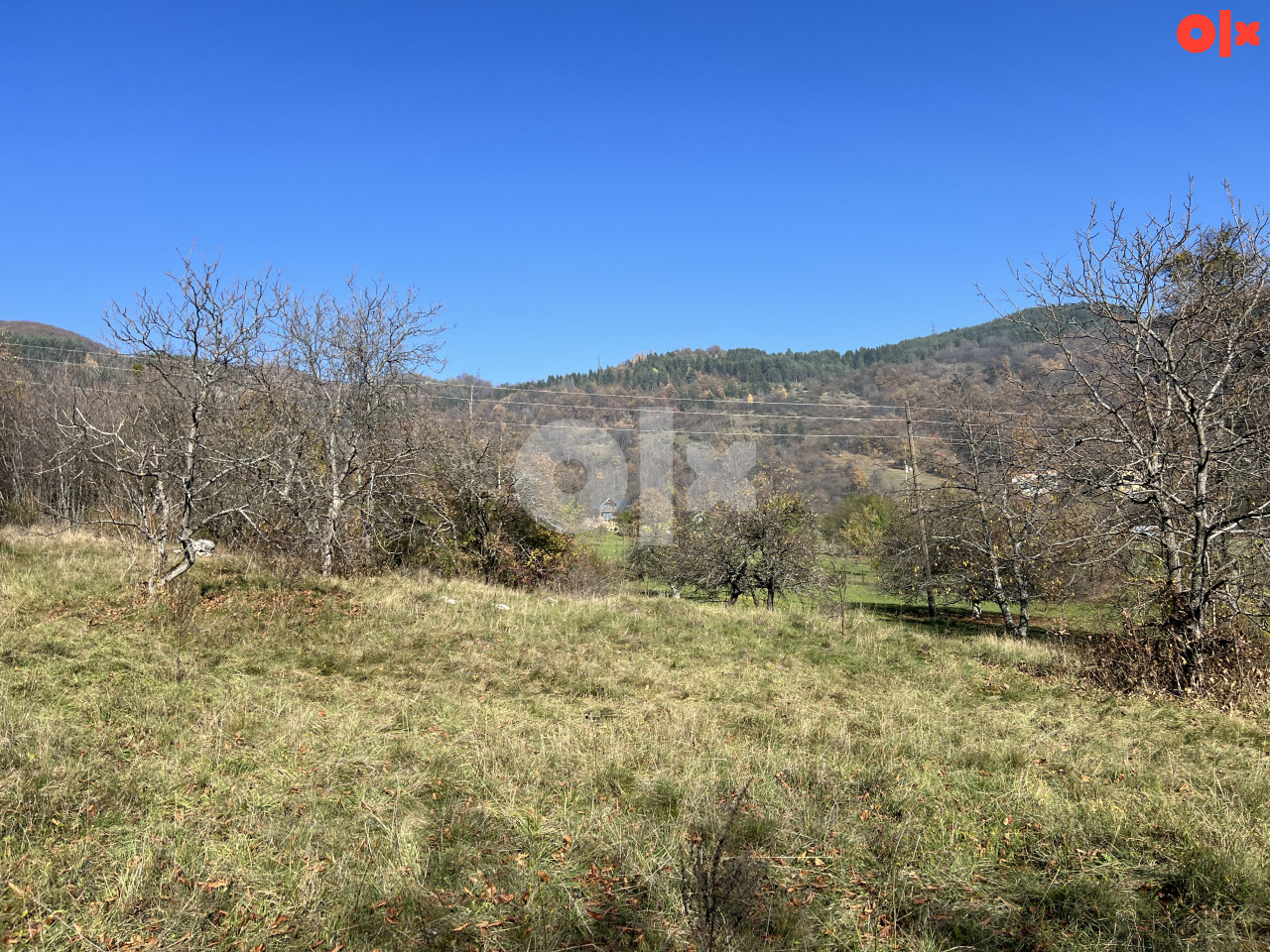 DONJE BIOSKO STARI GRAD 18.000m2 TOP LOKACIJA 13