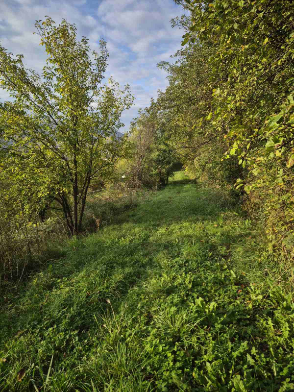 Sigenx prodaje zemljište Novi Grad/Sokolje/2 duluma/30 KM/m2 7