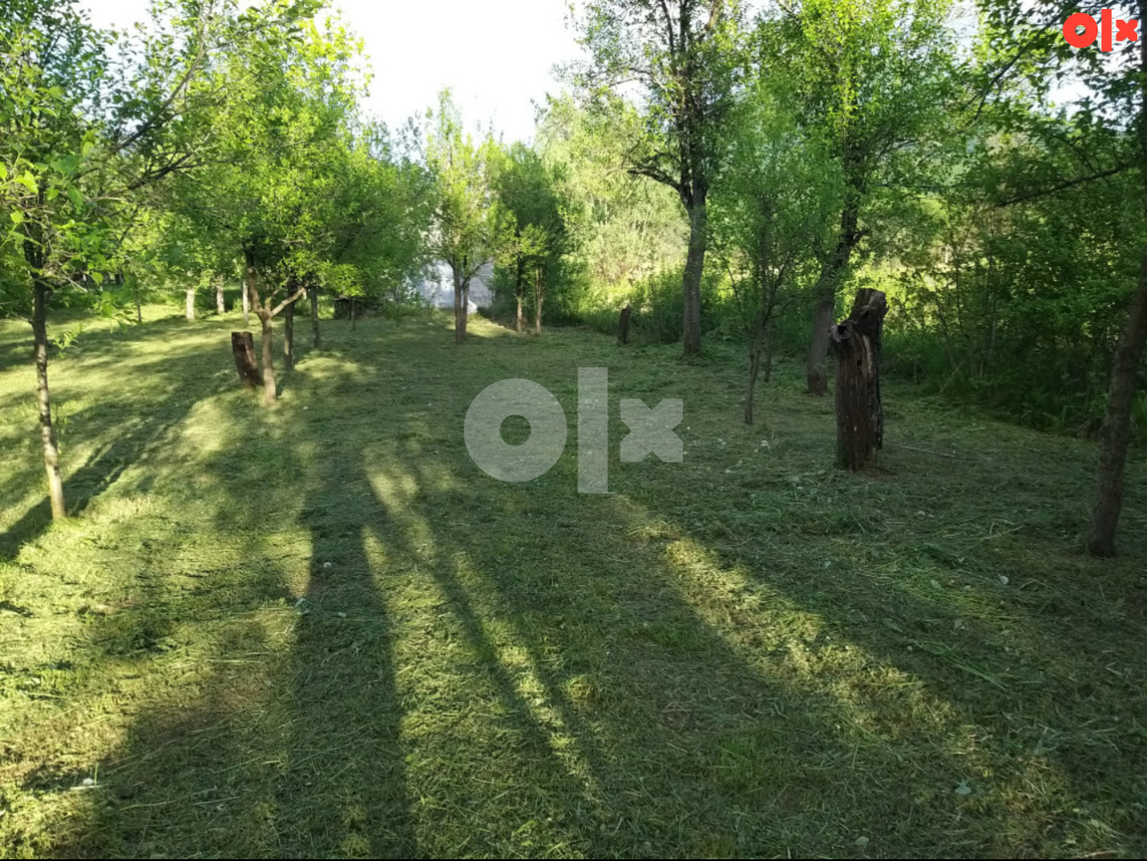 Prodajem plac Bihać 1696m2 2