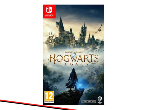 Warner Bros Hogwarts Legacy Warner Bros Igra za Nintendo Switch: