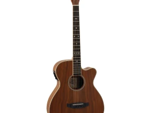 Tanglewood Reunion Pro TRU4CEAW gitara