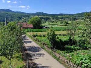 House and land in Bosanska Krupa