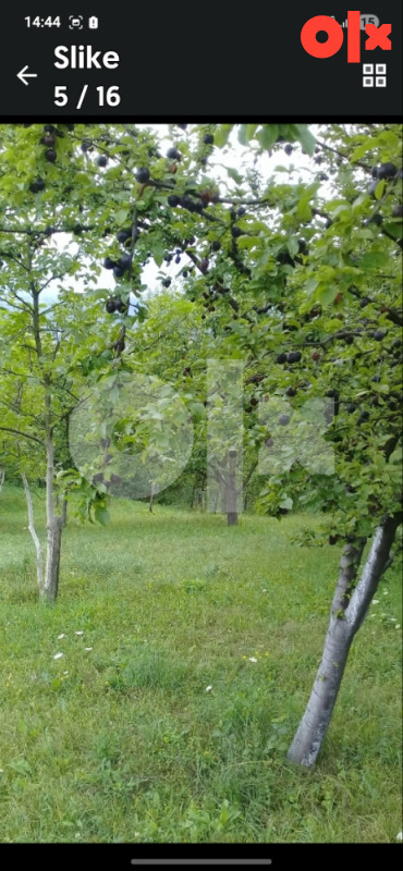 Plac zemljište 1/1 Rakovica 3