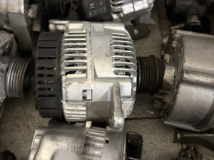 Alternatori i alnaseri