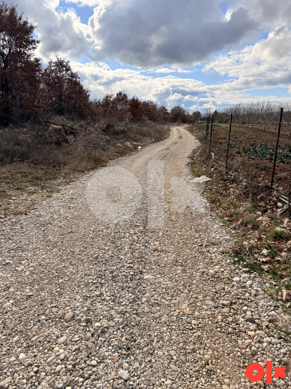 Plac, zemljište, maslinjak, Lokve općina Čapljina 5