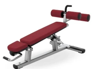Lifefitness signature abdominal klupa