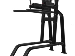 Nautilus leg raise/dip