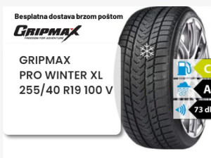 255/40 R 19 100V XL GRIPMAX PRO WINTER