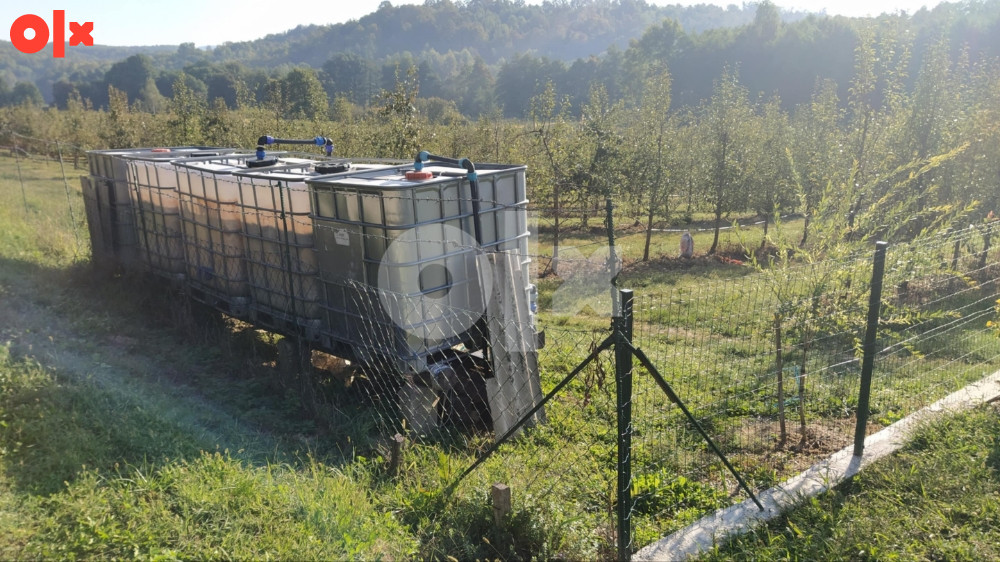 Prodajem voćnjak 1000 stabala kruške i 500 lešnika