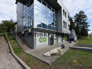 Premium business building with a penthouse apartment photo 2