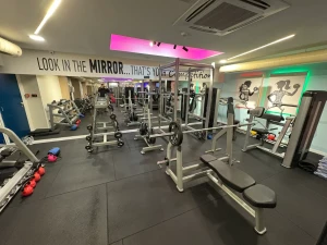 Moderan Gym/Teretana/Fitness - 180 m2 vrhunski opremljen prostor