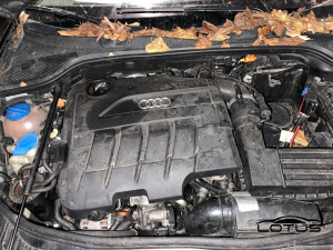 Motor, mjenjac, dijelovi AUDI A3 8P 2.0 TDI CBAB