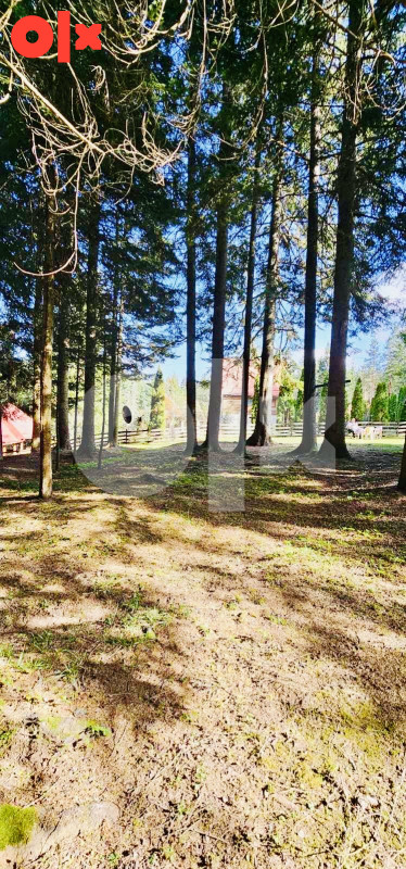 Prodajemo vikendicu Nišići TOP LOKACIJA I CIJENA 3