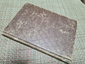 Opasno mnoštvo,  Stevan Ivanić