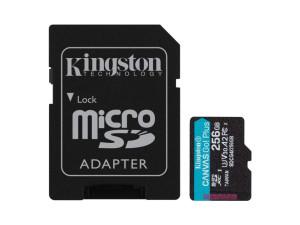 Kingston microSD 256GB CanvasGoPlus