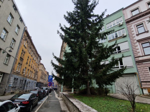 Trosoban stan Marijin Dvor prodaja