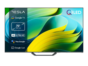TESLA TV QLED Q65E655GUS