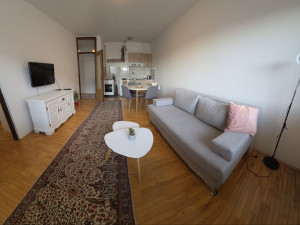 Najam - trosoban stan 48m2 - ul. Srpskih Vladara