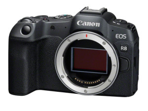 ..Canon  EOS R8 Body
