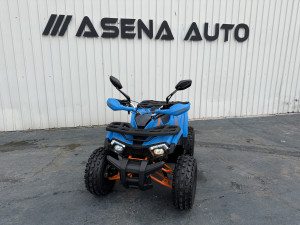 Quad Tao motor Shark 125