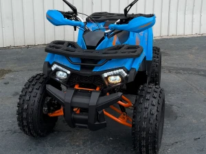 Quad Tao motor Shark 125