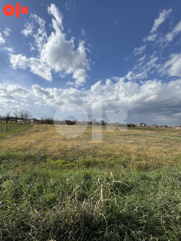 Placevi od 500m2 do 800m2, Kozinci 4