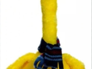 Razigrana patka koja plese i ponavlja rijeci