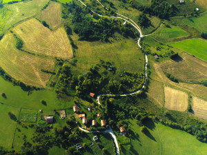 Zemljište od 26.000m2 sa Dozvolama u Nišićima za investiciju