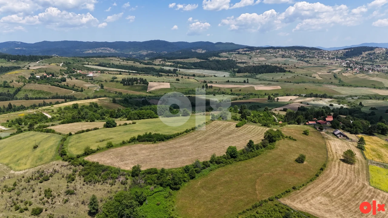 Parcela sa 4 dozvole 19.500 m2 u prirodi Nišića 4