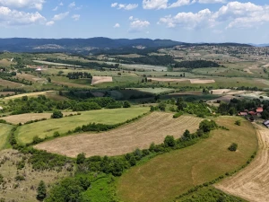 Parcela sa 4 dozvole 19.500 m2 u prirodi Nišića