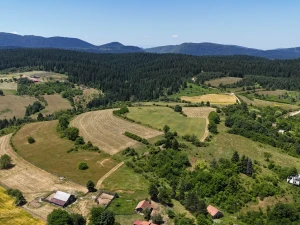 Parcela sa 4 dozvole 19.500 m2 u prirodi Nišića