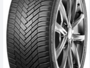 Guma NEXEN 225 55 R17 Cijela godina 225 55 17