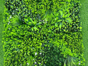 Zeleni Zid 1x1m Umjetno Zelenilo Herbium