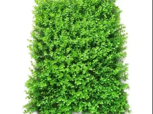 Zeleni Zid 40x60cm Umjetno Zelenilo