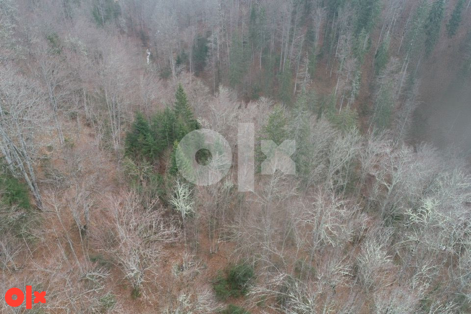 EKSKLUZIVNA PRODAJA ZEMLJIŠTE ILIJAŠ-MEDOJEVIČI 6856m2 4