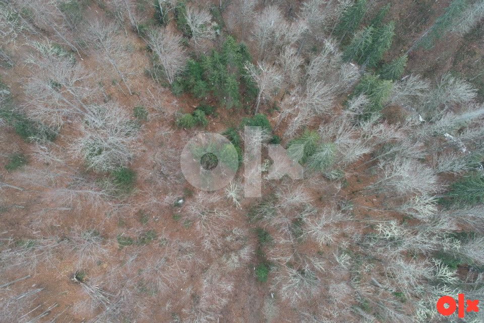 EKSKLUZIVNA PRODAJA ZEMLJIŠTE ILIJAŠ-MEDOJEVIČI 6856m2 6