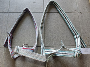 OGLAV ZA TELE, JUNE KRAVU