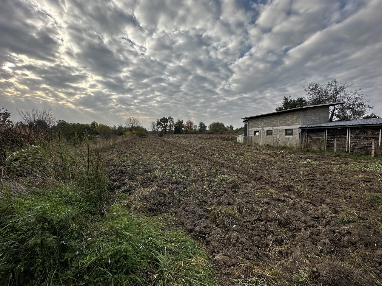 Kuća i plac na obali Vrbasa - 4094 m2 10
